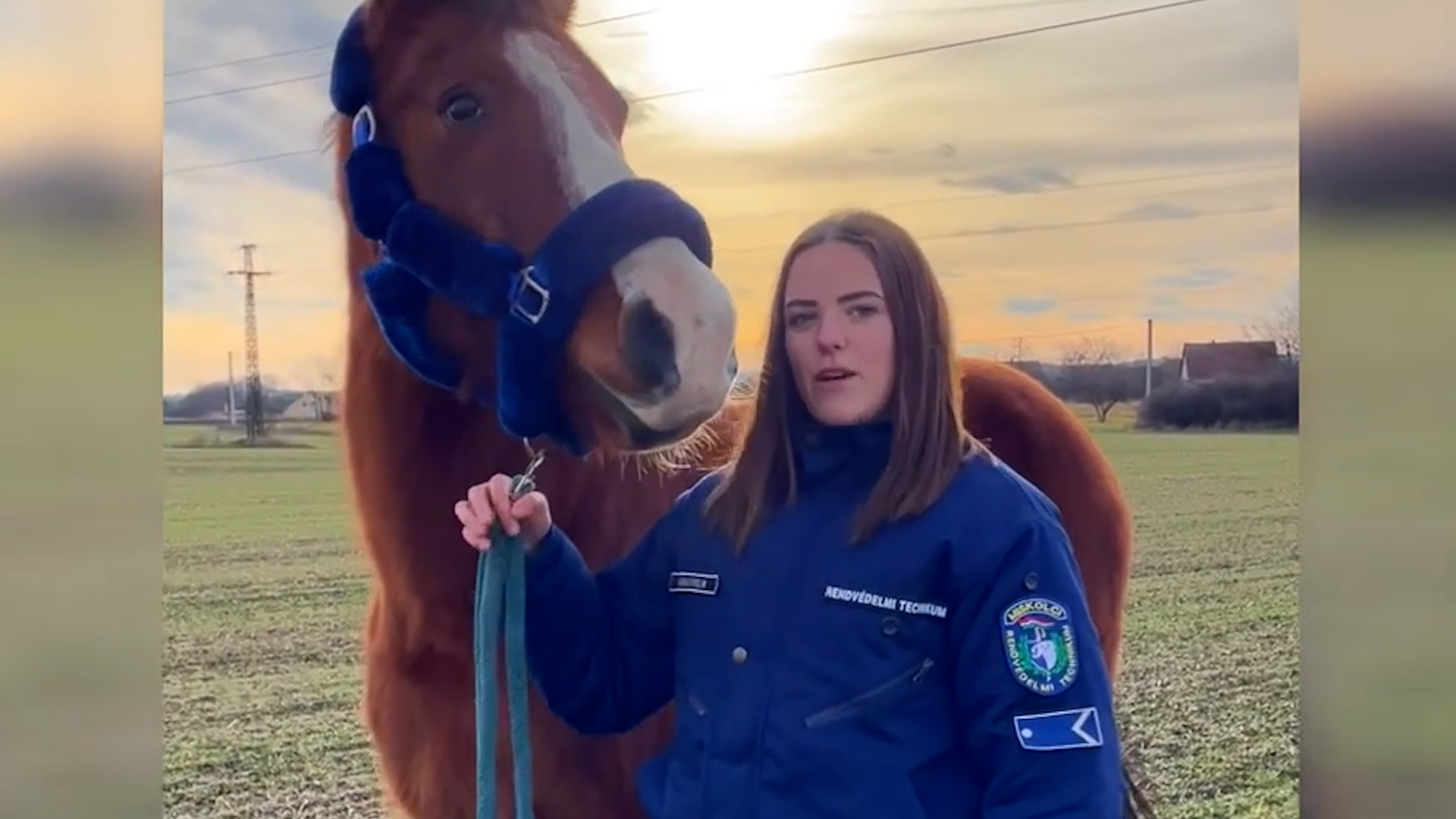 A hivatásom az álmom – készítette Kádas Evelin